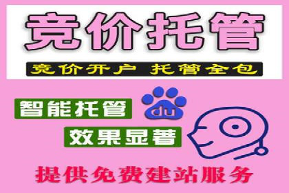 百度竞价排名策略优化：某公司广告投放效果翻倍的秘诀